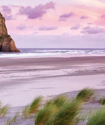 Produit Frank Krahmer - Wharariki Beach Image