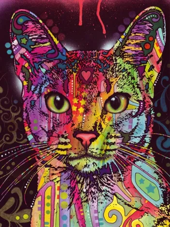 Produit Abyssinian Image