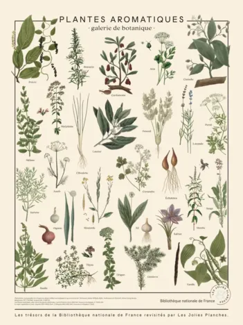 Produit Puzzle Plantes aromatiques Image