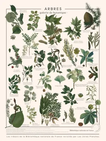 Produit Puzzle Arbres Image