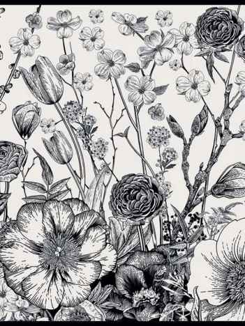 Produit Poésie Florale Monochrome Image