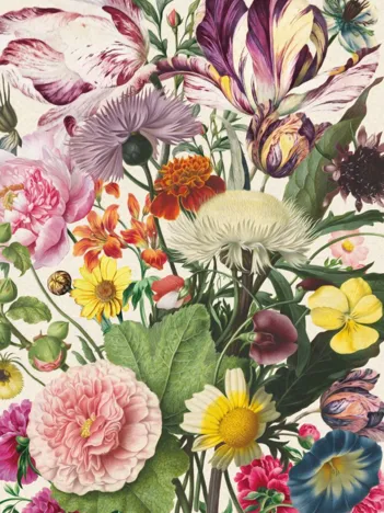 Produit Poésie en pétales Image