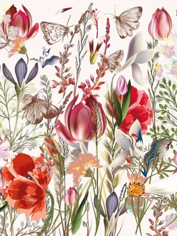 Produit Fleurs des Champs Image