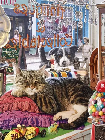 Produit Abbey's Antique Shop Image