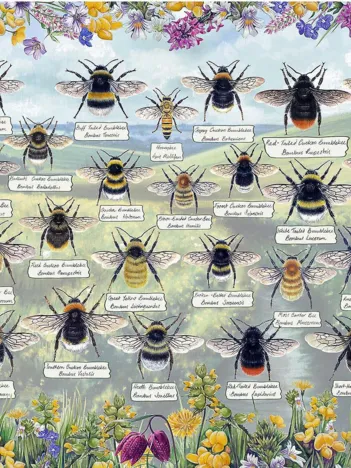 Produit Brilliant Bees Image