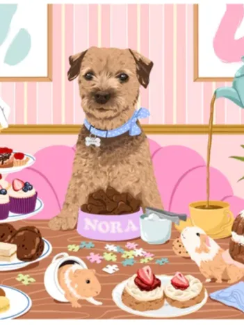 Produit Nibbles with Nora Image