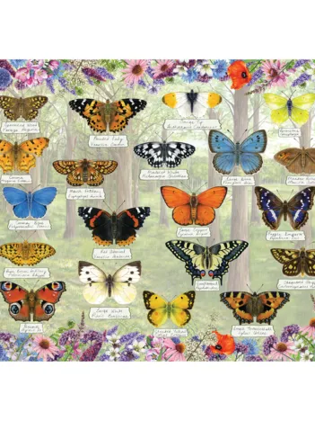 Produit Jolis Papillions Image