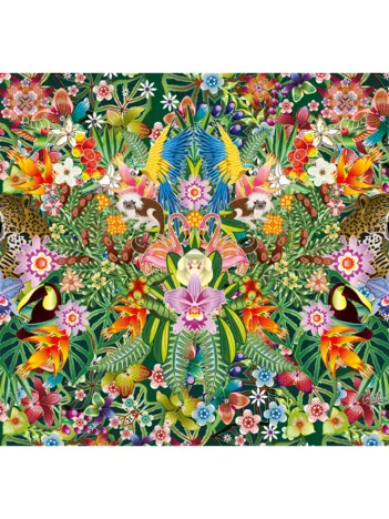 Produit Catalina Estrada - Rêve Indien Image