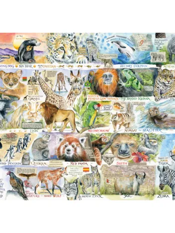 Produit Ours du Soleil et Paresseux Image