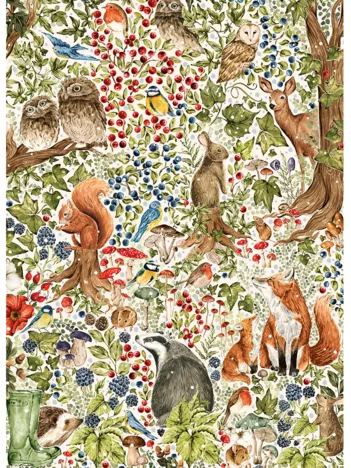 Produit The Art File: La Faune des Bois Image