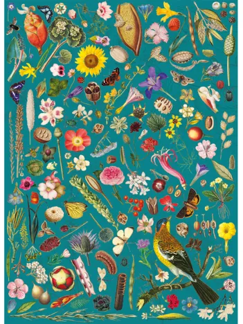 Produit Rhs : Fantaisie Florale Image