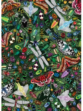 Produit The Art File : Merveilles Ailées Image