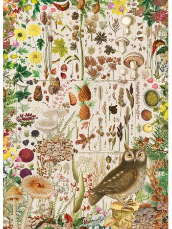 Produit RHS: Fall Flora Image