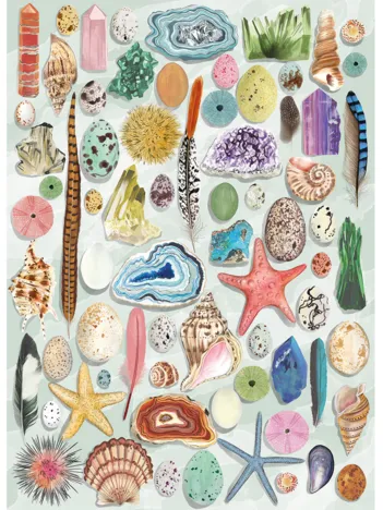 Produit The Art File: Natural Curiosities Image