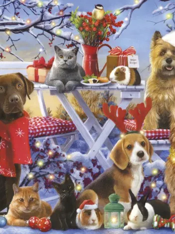 Produit Pièces XXL - Festive Friends Image