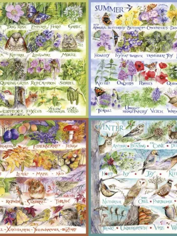 Produit Woodland Seasons Image