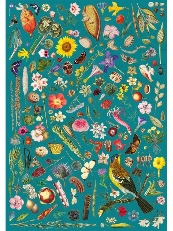 Produit RHS : Fantaisie Florale Image