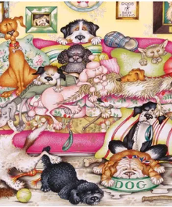 Produit After Walkies Image