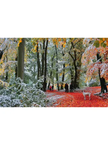 Produit Neige En Automne Image