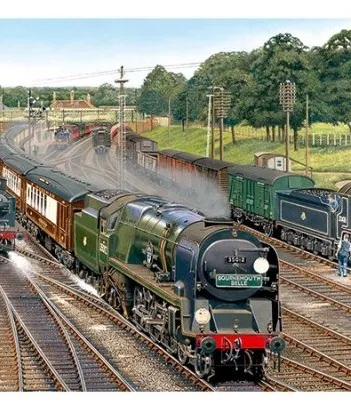 Produit La jonction de New Forest Image