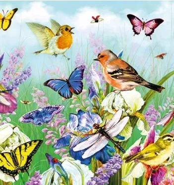 Produit Envolée printanière Image