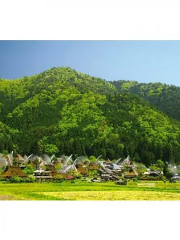 Produit Campagne japonaise Image