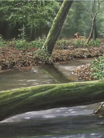 Produit Nico Bulder : Icebird Image