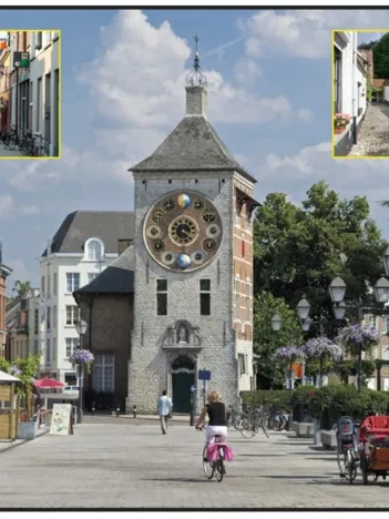 Produit Belgique : Lierre Image