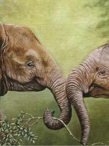 Produit Nico Bulder : Eléphanteaux Image