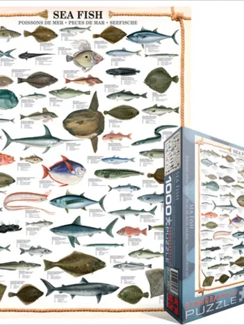 Produit Les poissons Image