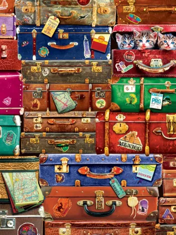 Produit Valises de Voyage Image