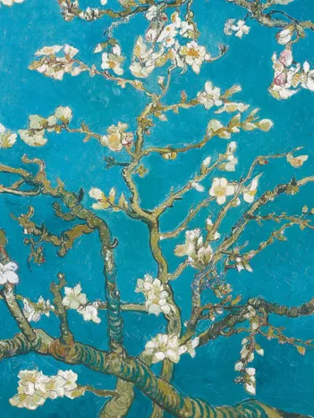 Produit Van Gogh : Branche d'amandier en fleurs Image