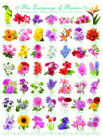 Produit Le language des Fleurs Image