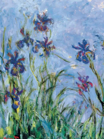 Produit Claude Monet : Iris (détail) Image