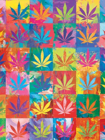 Produit Weed Wonderland Image