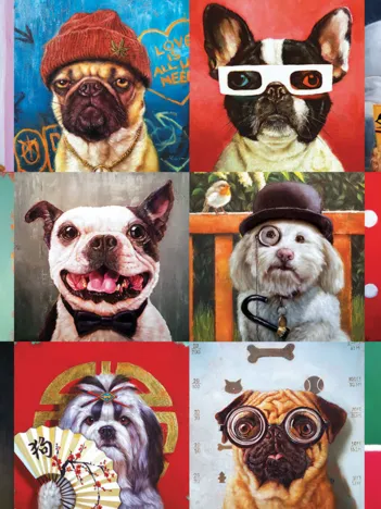 Produit Funny Dogs Image