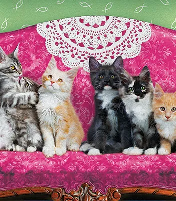 Produit Chatons sur un Fauteuil Image