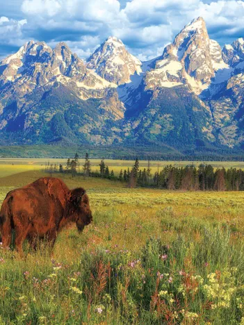 Produit Parc National Grand Teton Image