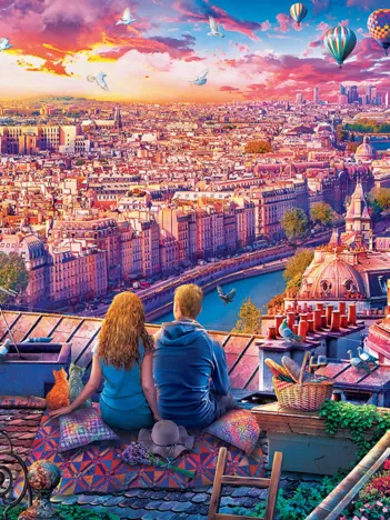 Produit Toit de Paris Image