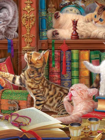 Produit Chatons de Bibliothéque Image