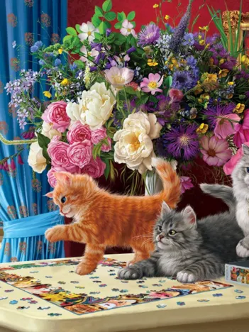 Produit Chats Curieux Image