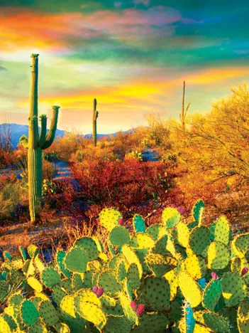 Produit Rêve de Désert Image