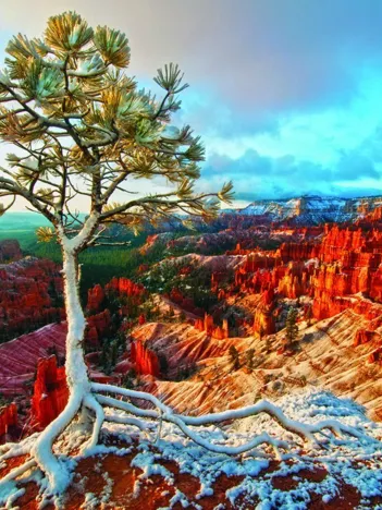 Produit Lever de Soleil Hivernal Image