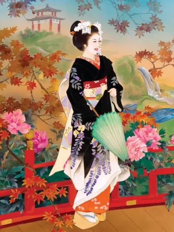 Produit Morita: Higasa Image