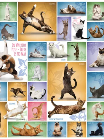Produit Yoga Cats Image