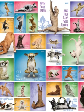 Produit Yoga Dogs Image