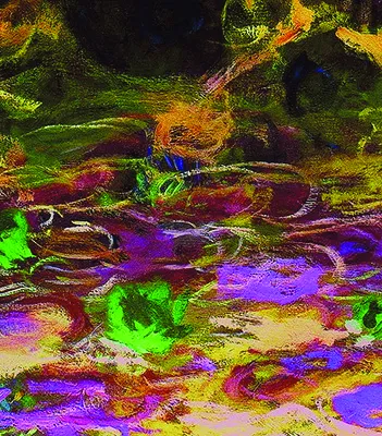 Produit Claude Monet - Les Nymphéas Image