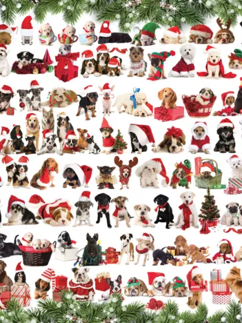 Produit Chiens de Noël Image