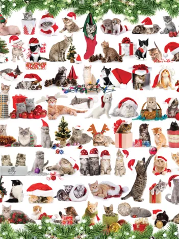 Produit Chats de Noël Image
