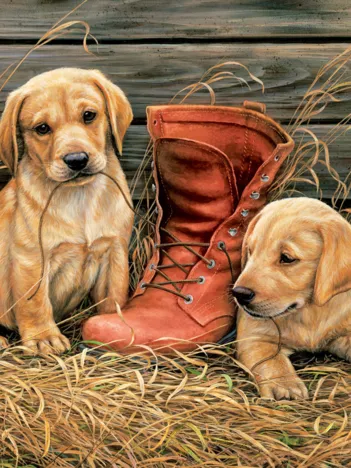 Produit Rosemary Millette - Something Old Something New Image